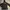 jaket parajumpers parka army winter military jacket photo 1