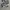 Unknown Camo Loose Cargopants photo 5