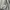 Sportswear Jersey Pria multicolor photo 6