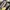 prilov glasses (no minus) photo 1