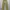 CELANA OUTDOOR HELLY HANSEN CARGO PANTS OVERWEIGHT ORIGINAL