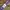 THISISNEVERTHAT Striped L/S T-shirt - Olive/Purple   photo 6