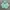 THISISNEVERTHAT Tie Dye Hoodie - Mint 