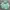 THISISNEVERTHAT Tie Dye Hoodie - Mint 