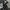 THISISNEVERTHAT “Can You Keep A Secret” Official Wool Jacket photo 7