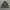 THISISNEVERTHAT “Can You Keep A Secret” Official Wool Jacket photo 1