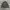 THISISNEVERTHAT “Can You Keep A Secret” Official Wool Jacket photo 5