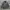 THISISNEVERTHAT “Can You Keep A Secret” Official Wool Jacket