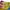 ELEMENT Tie die Longslaave Unisex photo 8