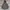 Uniqlo Parka Type 20-08 Jacket  photo 1