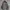 Uniqlo Parka Type 20-08 Jacket  photo 2