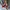 Staccato EUE04-RED Women's Heels-Red photo 1