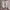 Urban Revivo Luxury Cardigan Wanita cream photo 2