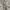 Urban Revivo Luxury Cardigan Wanita cream photo 6