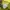 Supreme Streetwear Hoody Pria yellow photo 6