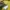 Supreme Streetwear Hoody Pria yellow photo 5