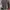 H&M Casual Midi dress Wanita multicolor gray photo 2