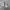 TODDLER  NIKE RIFT WHITE  photo 5