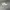 TODDLER  NIKE RIFT WHITE  photo 2