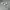 TODDLER  NIKE RIFT WHITE  photo 6