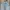 Outstanding & Co Selvedge Light Wash Denim Size 32