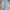 Outstanding & Co Selvedge Light Wash Denim Size 32 photo 1
