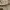 Abercrombie Flare Pants Boot Cut photo 6