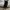 Luxury Minimalist Maxi skirt Wanita black photo 4