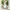 HIMEKA VINTAGE outer lace dengan collar photo 3