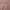 Silky Pink Rose Gold  Satin Cowl Neck Slip Dress