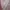Pink satin pajamas set  photo 5