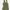 Casual Minimalist Evening dress Wanita green photo 1