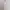 Casual Minimalist Casual dress Wanita white photo 1