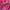Sp5der P*nk Hoodie photo 3