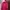Sp5der P*nk Hoodie