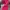 Sp5der P*nk Hoodie photo 4