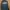 Hoodie Chambre photo 1
