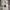 Big E 501 selvege button 555 usa photo 4