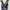 Love Bonito Casual Jumpsuit Wanita white navy photo 4