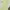 One Set Sage Green