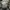 Uniqlo Straight Cargo Pants Kargo Celana not Zara photo 6