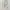 Uniqlo Straight Cargo Pants Kargo Celana not Zara photo 3