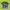 P&B Tie Dye Shirt