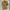 A173. KEMEJA ASN LENGAN PENDEK WARNA KHAKI SIZE L PRELOVED photo 1