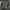 M65 Woodland Camouflage Multipocket Parka Jacket  photo 1