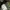 M65 Woodland Camouflage Multipocket Parka Jacket  photo 8