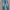 UNIQLO SELVEDGE JEANS DENIM BRANDED