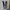 Lexy Juventus 2018-19 Home Kit Soccer Jersey Size XL photo 1