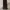 Dickies 874 Flex Original Fit - Dark Brown photo 1