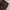 Dickies 874 Flex Original Fit - Dark Brown photo 6